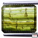 3.1 ct. Bi-Color Tourmaline