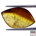 5.3 ct. Bi-Color Tourmaline