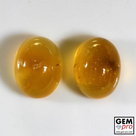 22.08 Carat Yellow Orange Fire Opal 2 pcs Gem from Madagascar Natural and Untreated