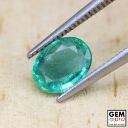 1.38 Carat Certified Green Emerald Gem from Colombia