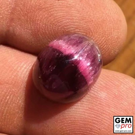 Rare Cat's Eye Rubellite Tourmaline Oval-Cut 11 ct. - 15 x 12 mm from Madagascar