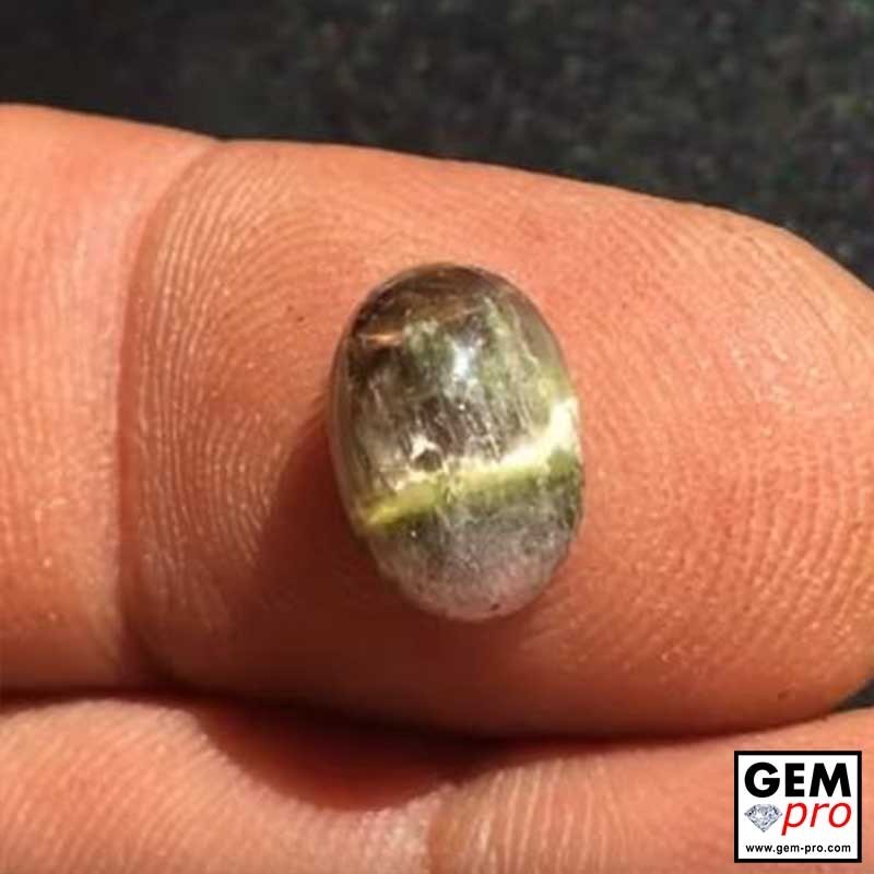 Bi-Color Cat's Eye Tourmaline oval shape cabochon 2.7 ct. from Madagascar Bi-Color Cat's Eye Tourmaline oval shape cabochon 2.7 ct. from Madagascar