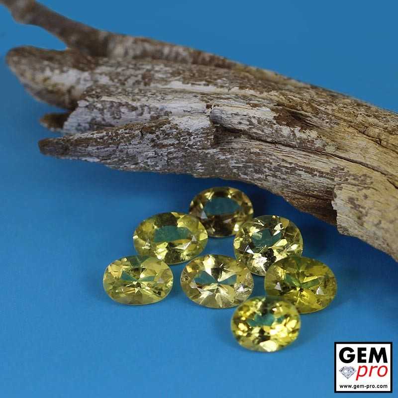 4.4 ctw. Yellow Tourmaline Gems from Madagascar