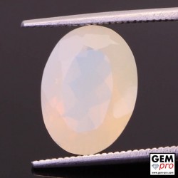 Natural Ethiopian Opal Loose Gemstone Cabochon ~Multi Fire Welo Opal ~AAA Quality Round Cabochon Ethiopian Opal ~60 pcs 3.50 MM Ct 5