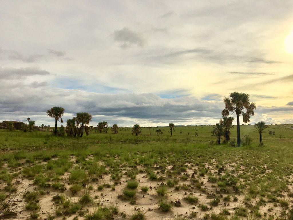 Panorama de la plaine de l'Isalo, au loin les mines de saphirs, R.N.7 Madagascar