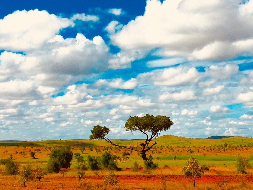 Paysage du plateau de l'Ihorombe, R.N.7 Madagascar