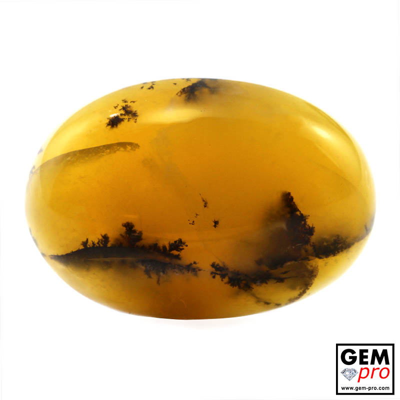 Opale dendritique (mousse) cabochon